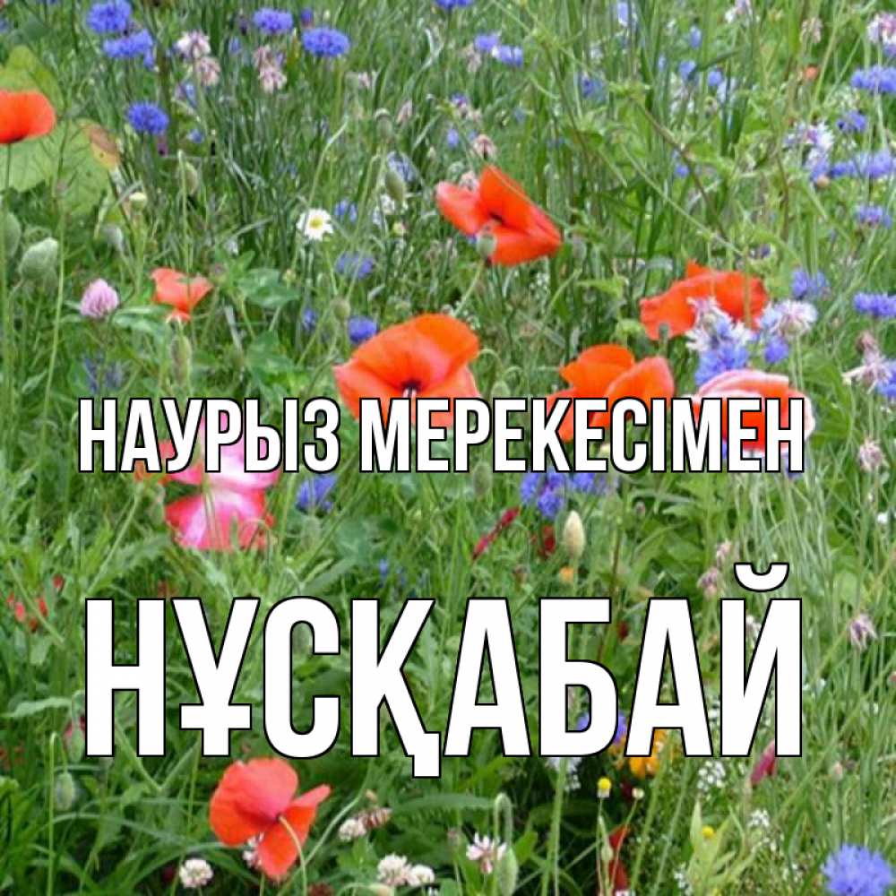 Күн сайын ашық хат с именем, НҰСҚАБАЙ Наурыз мерекесімен праздник весны наурыз супер открытка Онлайн тегін жүктеп алу тілектері бар керемет карта 