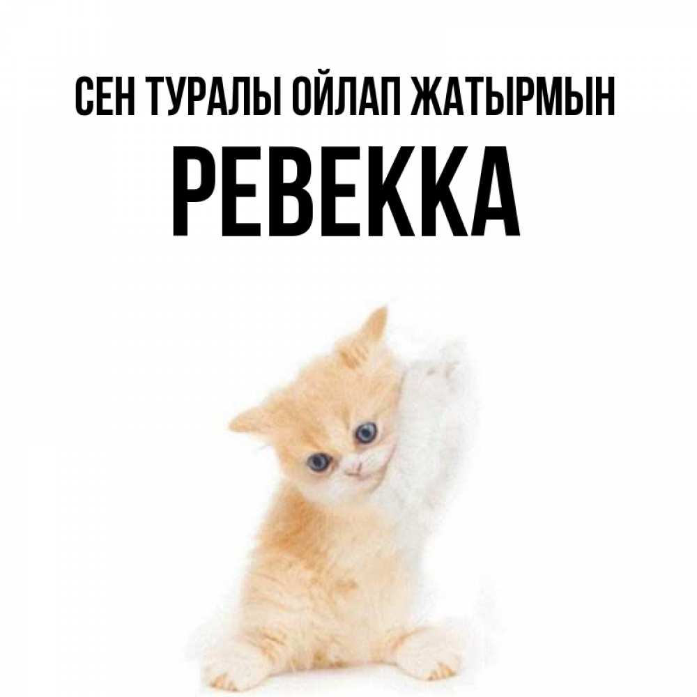 Күн сайын ашық хат с именем, Ревекка Сен туралы ойлап жатырмын зверушки и милота Онлайн тегін жүктеп алу тілектері бар керемет карта 