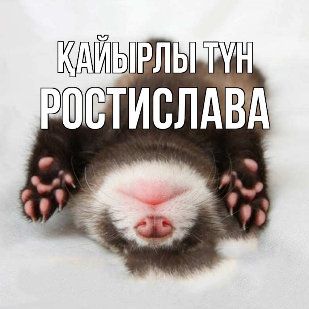 Күн сайын ашық хат с именем, Ростислава Қайырлы түн зверек Онлайн тегін жүктеп алу тілектері бар керемет карта 