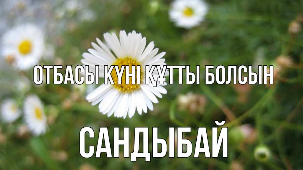 Күн сайын ашық хат с именем, САНДЫБАЙ отбасы күні құтты болсын с днем семьи Онлайн тегін жүктеп алу тілектері бар керемет карта 