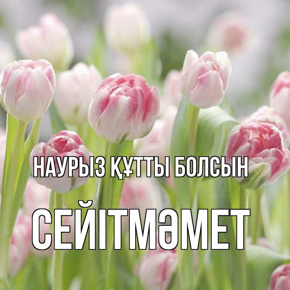 Күн сайын ашық хат с именем, СЕЙІТМӘМЕТ Наурыз құтты болсын цветы Онлайн тегін жүктеп алу тілектері бар керемет карта 
