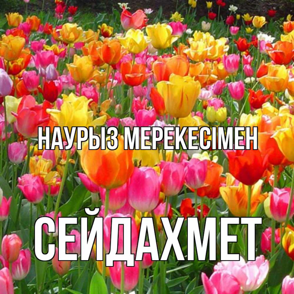 Күн сайын ашық хат с именем, СЕЙДАХМЕТ Наурыз мерекесімен праздник весны наурыз 4 Онлайн тегін жүктеп алу тілектері бар керемет карта 