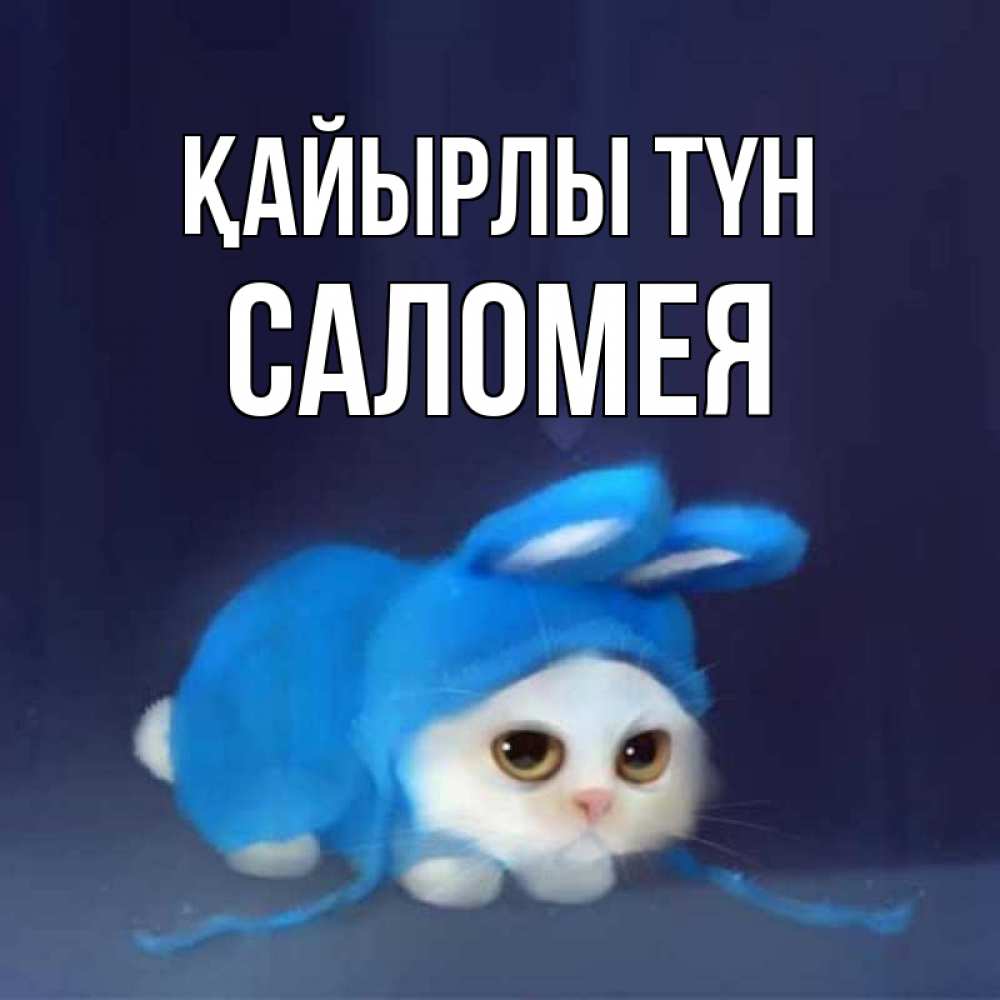 Күн сайын ашық хат с именем, Саломея Қайырлы түн кот в голубом костюме кролика с ушками Онлайн тегін жүктеп алу тілектері бар керемет карта 