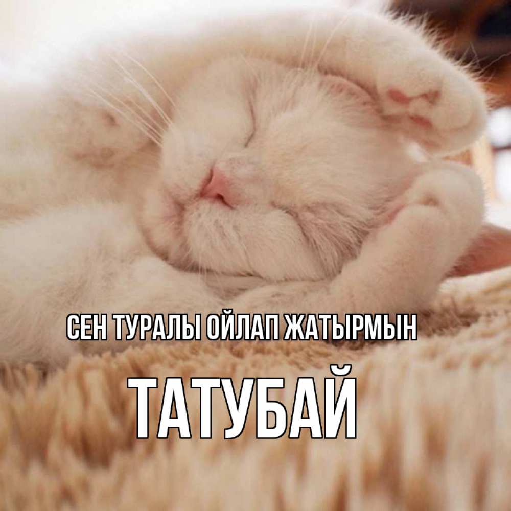 Күн сайын ашық хат с именем, ТАТУБАЙ Сен туралы ойлап жатырмын для любимой девушки милота Онлайн тегін жүктеп алу тілектері бар керемет карта 