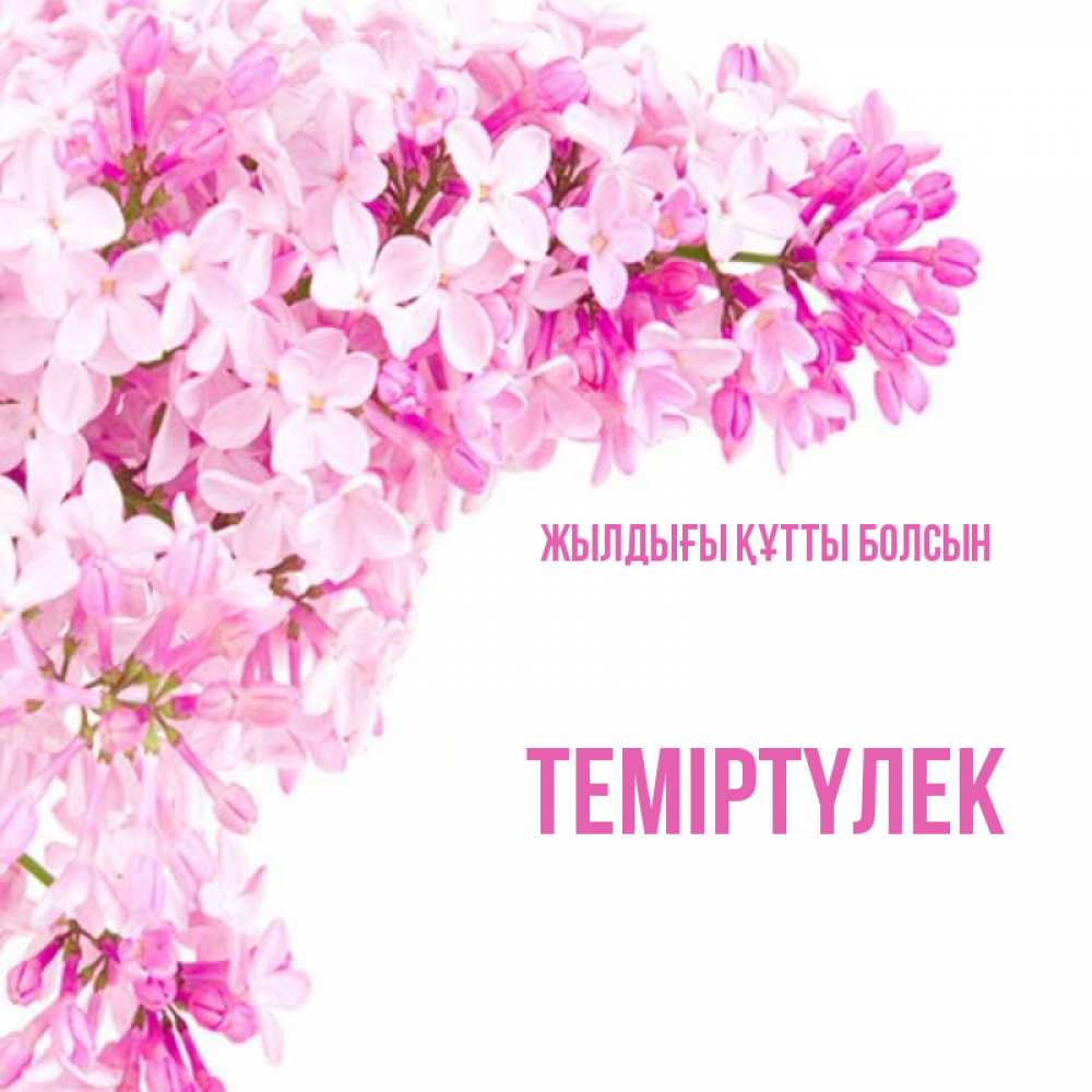Күн сайын ашық хат с именем, ТЕМІРТҮЛЕК Жылдығы құтты болсын Сирень на белом фоне Онлайн тегін жүктеп алу тілектері бар керемет карта 