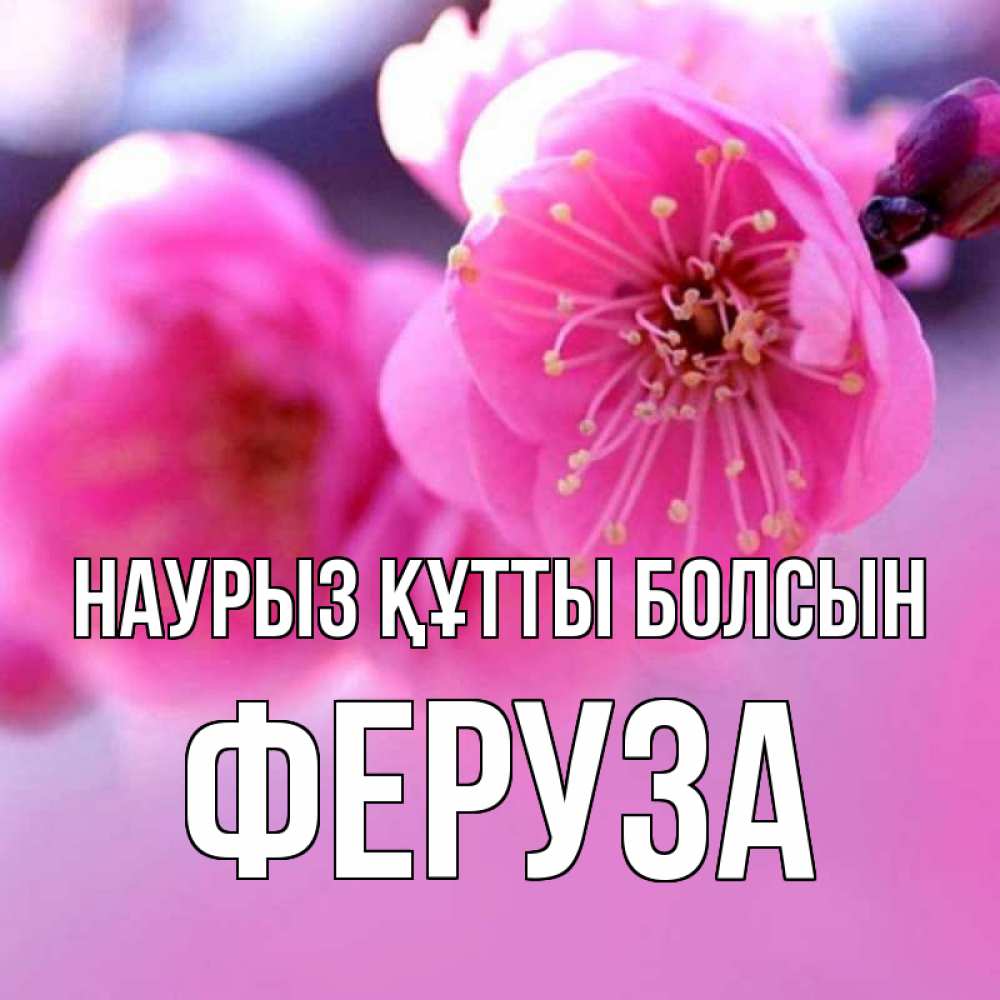 Күн сайын ашық хат с именем, Феруза Наурыз құтты болсын наурыз мейрам Онлайн тегін жүктеп алу тілектері бар керемет карта 
