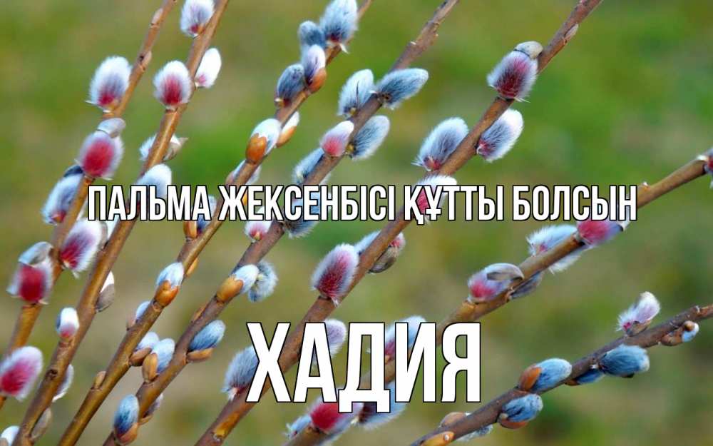 Күн сайын ашық хат с именем, ХАДИЯ Пальма жексенбісі құтты болсын верба Онлайн тегін жүктеп алу тілектері бар керемет карта 