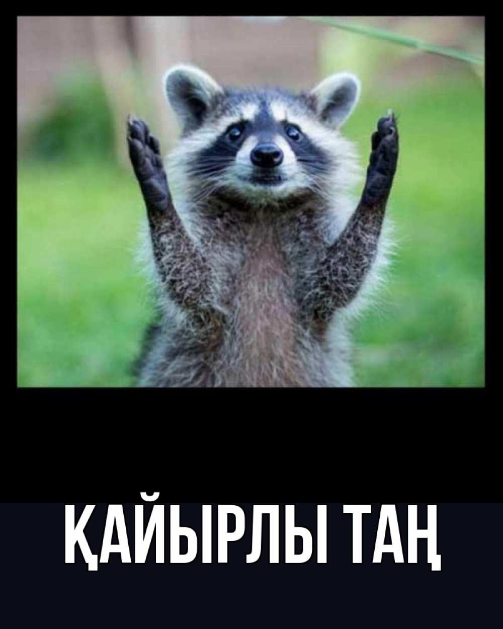 Күн сайын ашық хат с именем, выберите-имя Қайырлы таң хорошее настроение утречком Онлайн тегін жүктеп алу тілектері бар керемет карта 