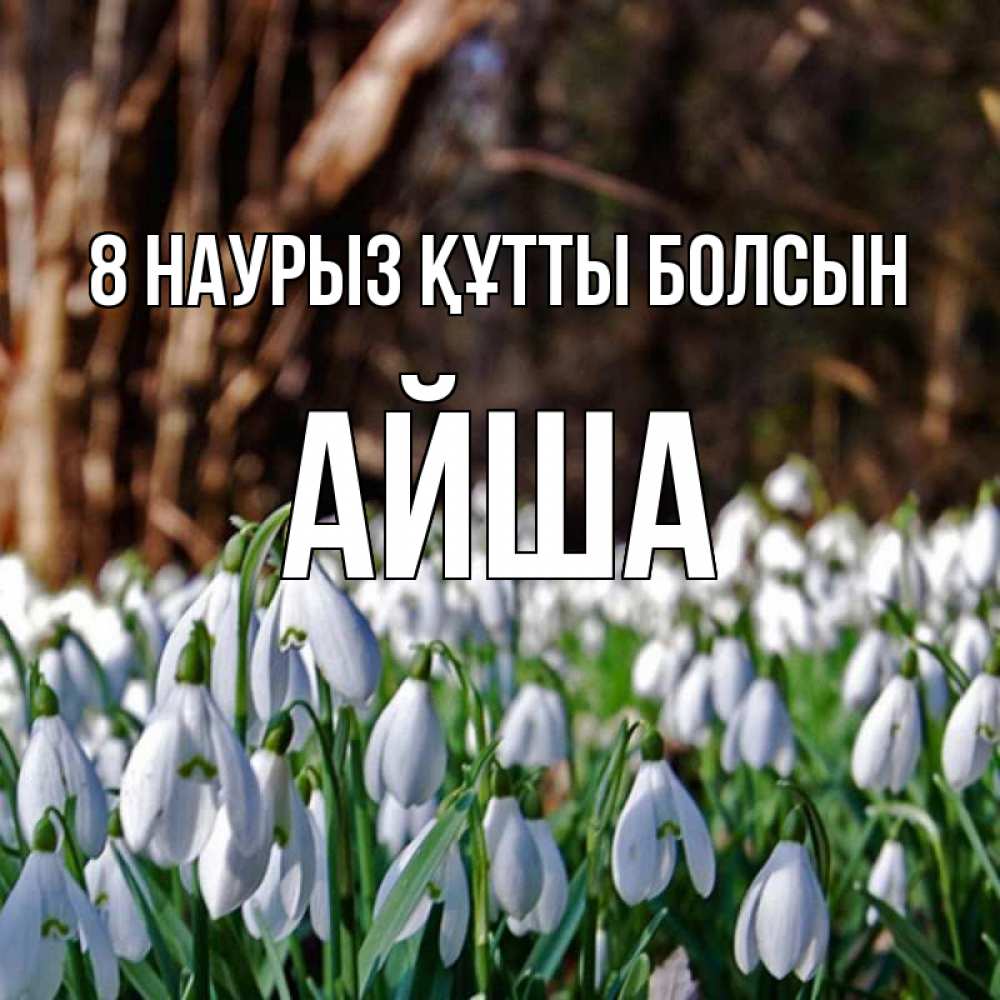 Күн сайын ашық хат с именем, АЙША 8 наурыз құтты болсын с подснежниками 1 Онлайн тегін жүктеп алу тілектері бар керемет карта 