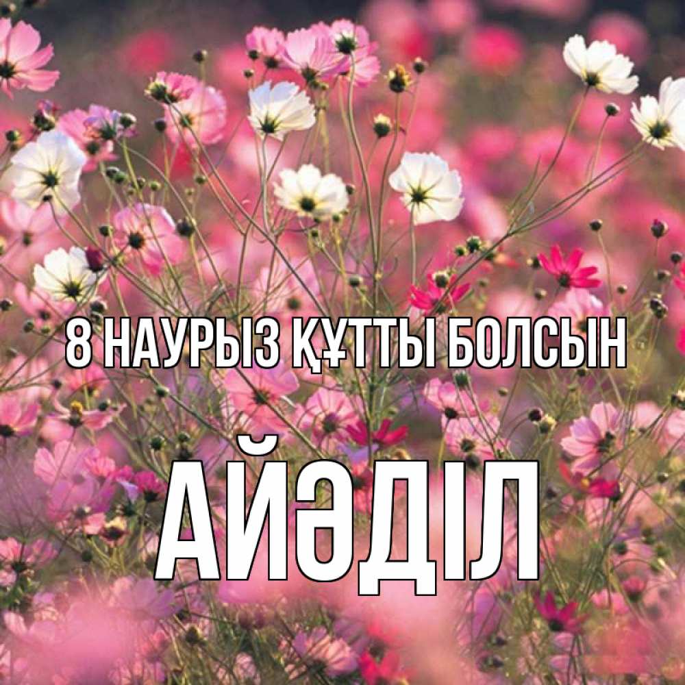 Күн сайын ашық хат с именем, Айәділ 8 наурыз құтты болсын красиво 1 Онлайн тегін жүктеп алу тілектері бар керемет карта 