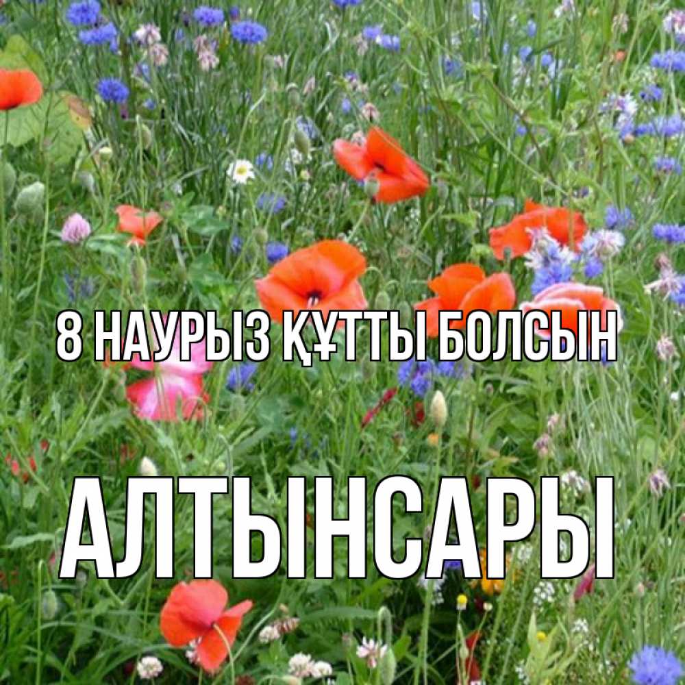 Күн сайын ашық хат с именем, Алтынсары 8 наурыз құтты болсын международный женский день 4 Онлайн тегін жүктеп алу тілектері бар керемет карта 