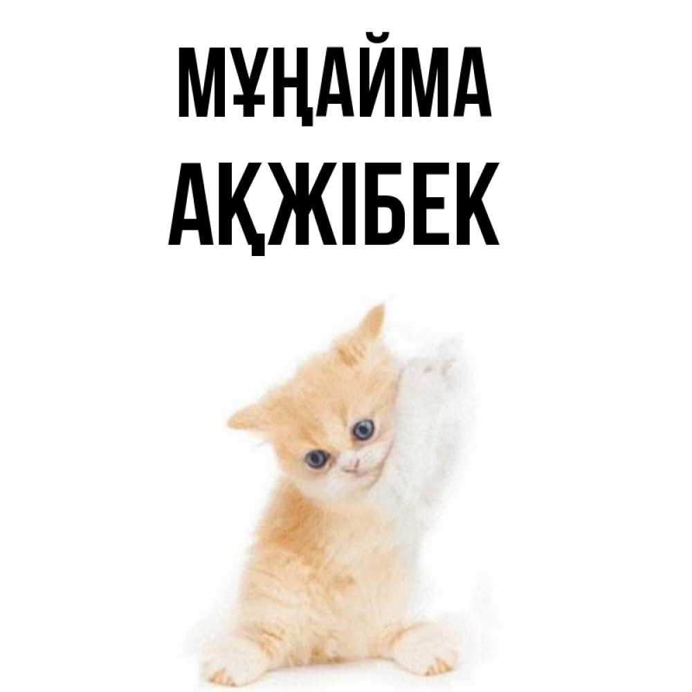 Күн сайын ашық хат с именем, АҚЖІБЕК Мұңайма просящий кот Онлайн тегін жүктеп алу тілектері бар керемет карта 