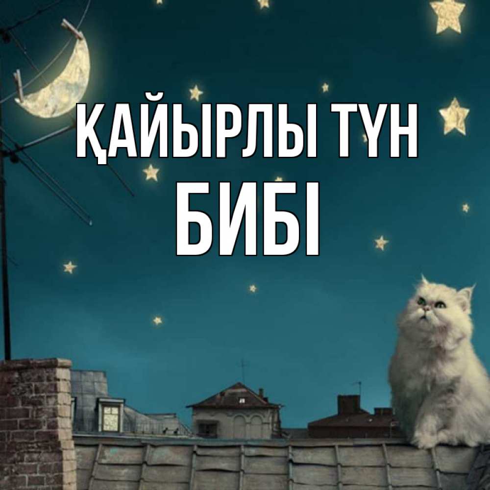 Күн сайын ашық хат с именем, БИБІ Қайырлы түн белый кот сидит на крыше Онлайн тегін жүктеп алу тілектері бар керемет карта 