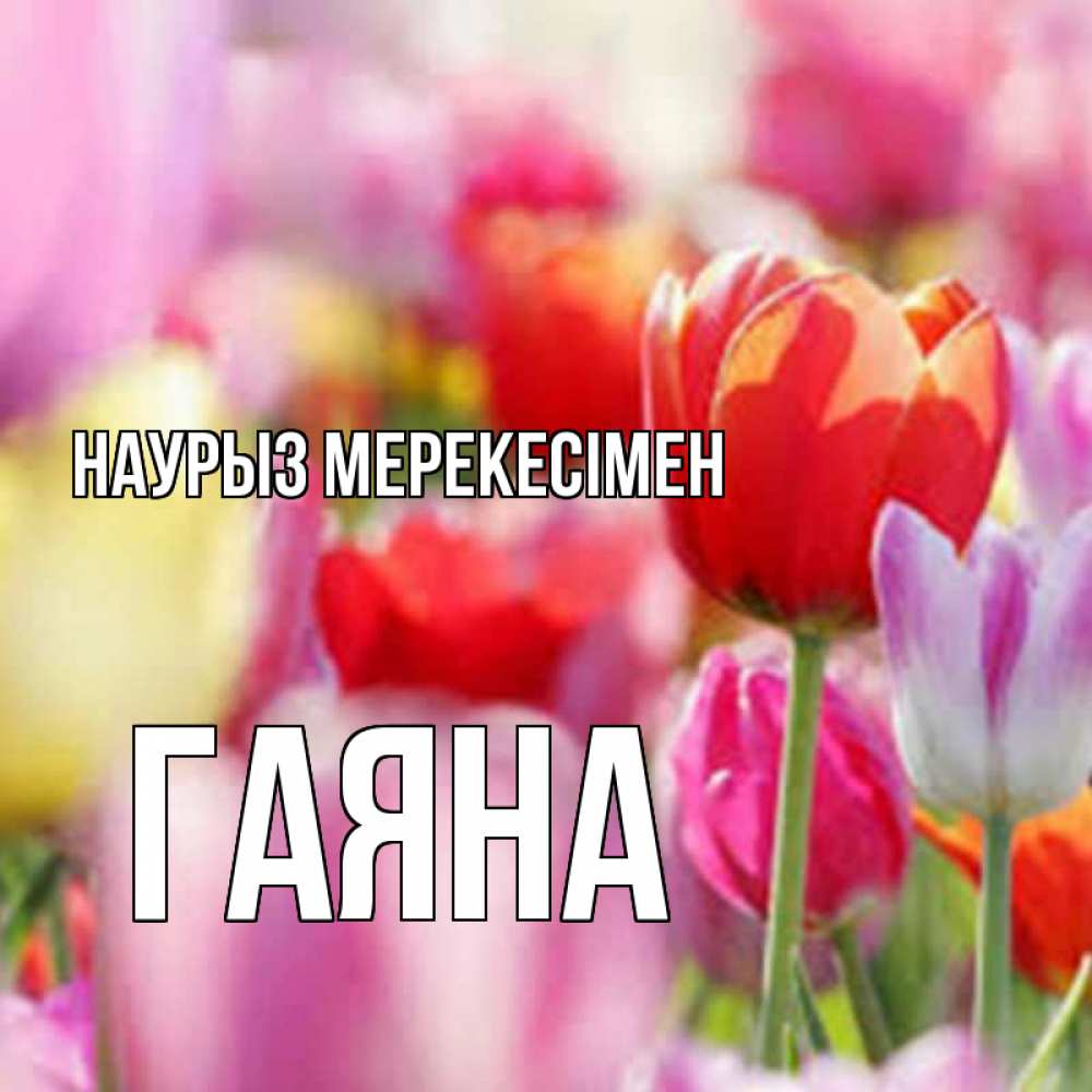 Күн сайын ашық хат с именем, ГАЯНА Наурыз мерекесімен праздник весны наурыз 67 Онлайн тегін жүктеп алу тілектері бар керемет карта 