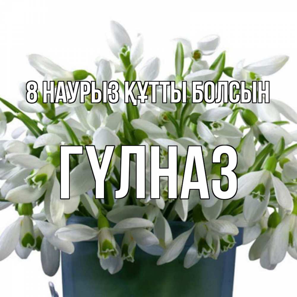 Күн сайын ашық хат с именем, ГҮЛНАЗ 8 наурыз құтты болсын цветы к международному женскому дню Онлайн тегін жүктеп алу тілектері бар керемет карта 