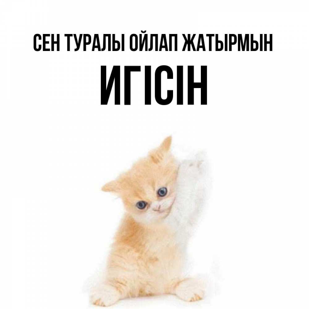 Күн сайын ашық хат с именем, Игісін Сен туралы ойлап жатырмын зверушки и милота Онлайн тегін жүктеп алу тілектері бар керемет карта 