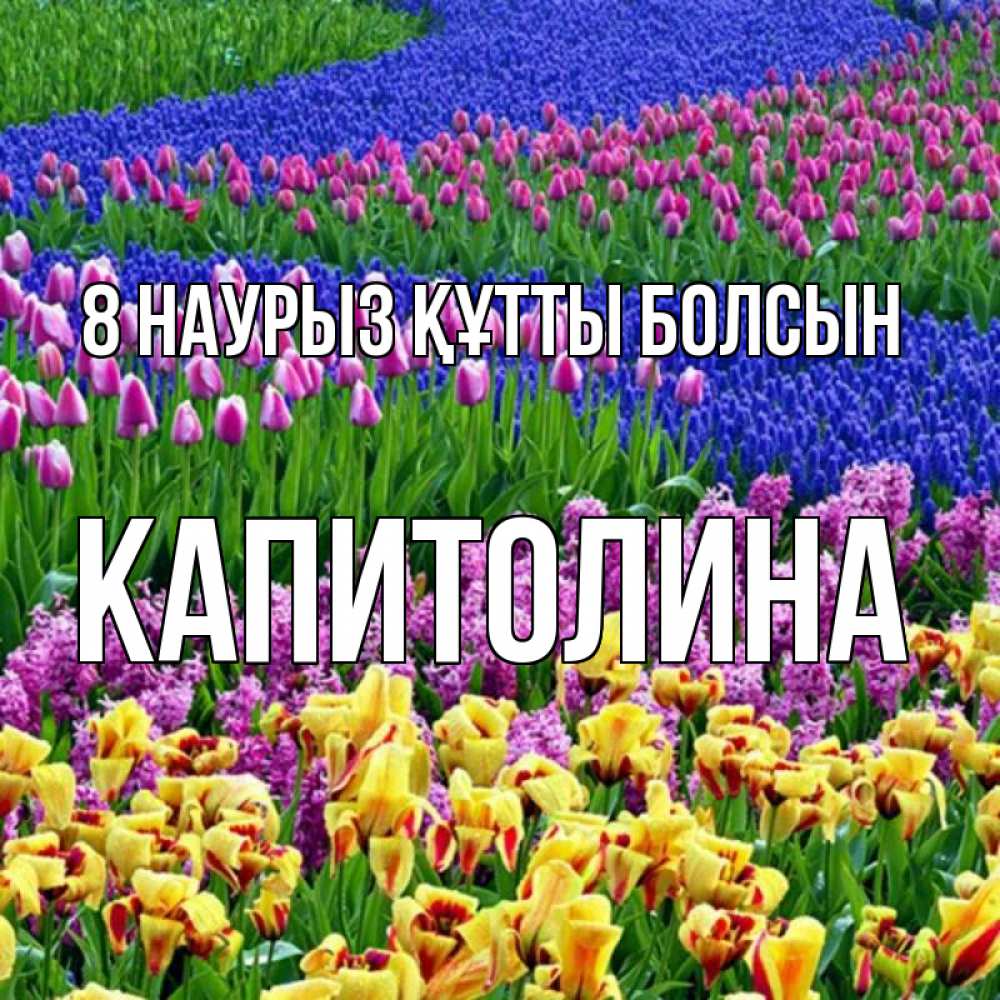 Күн сайын ашық хат с именем, Капитолина 8 наурыз құтты болсын цветы Онлайн тегін жүктеп алу тілектері бар керемет карта 