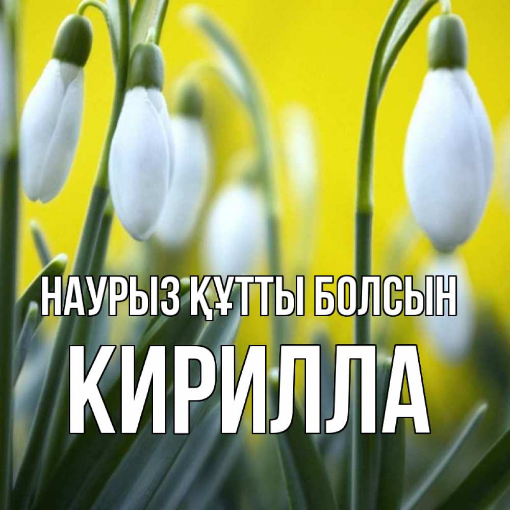 Күн сайын ашық хат с именем, Кирилла Наурыз құтты болсын весенние цветы Онлайн тегін жүктеп алу тілектері бар керемет карта 
