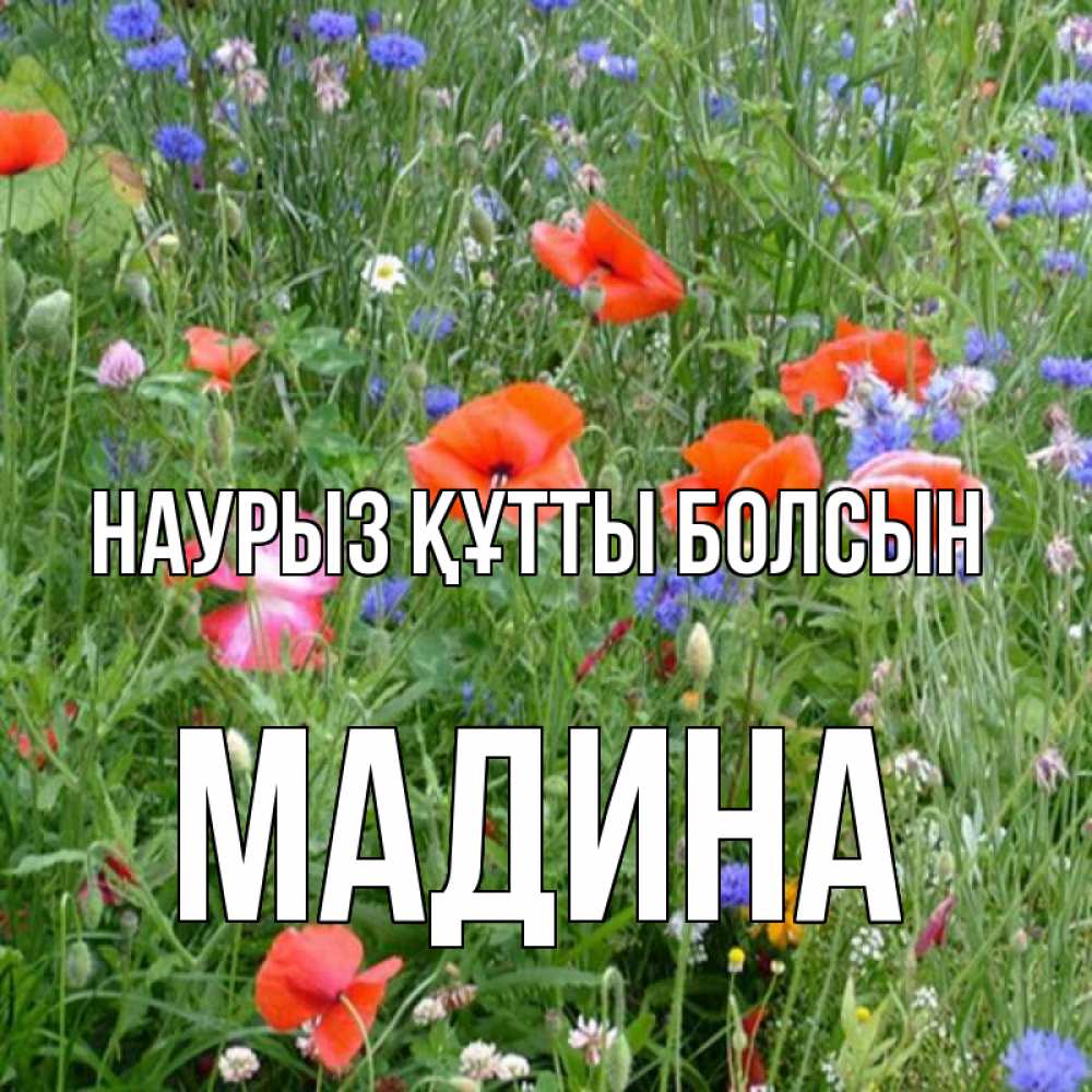 Күн сайын ашық хат с именем, Мадина Наурыз құтты болсын наурыз  4 Онлайн тегін жүктеп алу тілектері бар керемет карта 