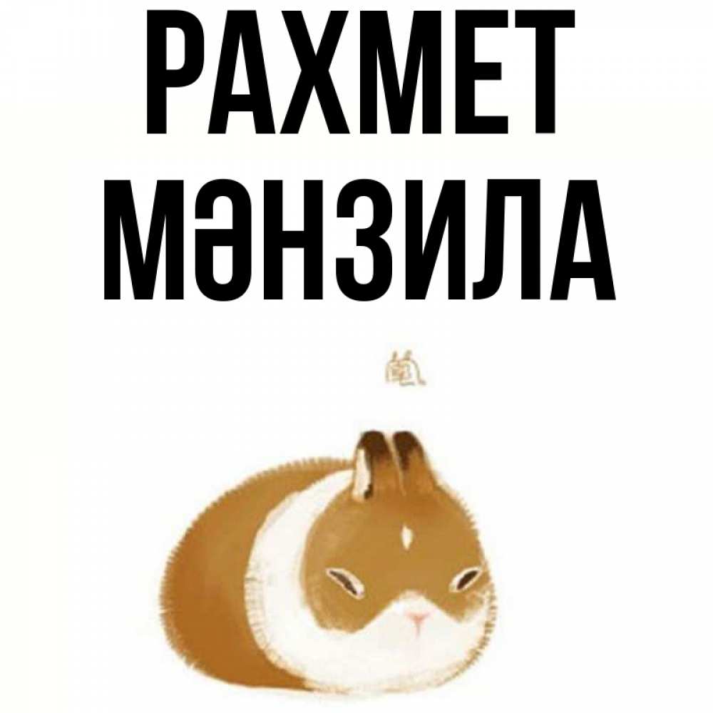 Күн сайын ашық хат с именем, МӘНЗИЛА рахмет коричнево белый домашний питомец Онлайн тегін жүктеп алу тілектері бар керемет карта 