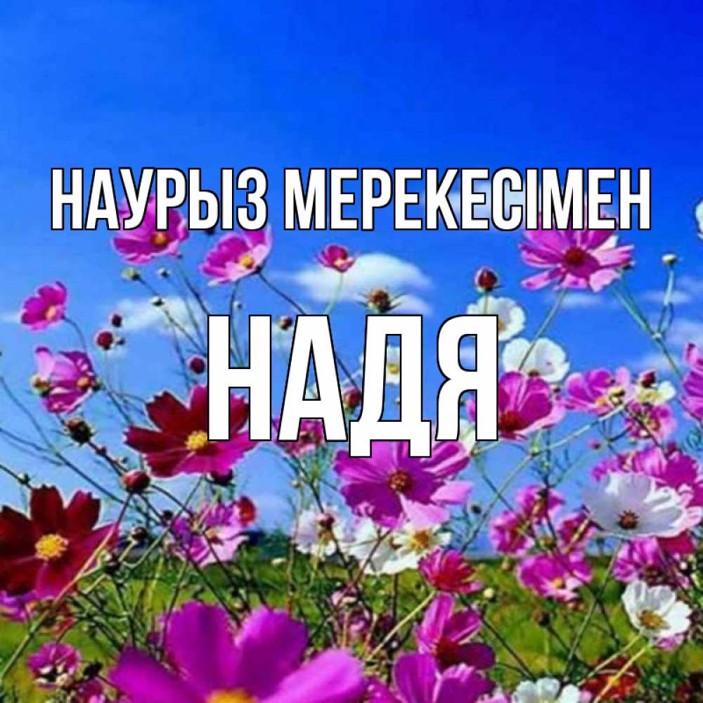 Күн сайын ашық хат с именем, Надя Наурыз мерекесімен цветы Онлайн тегін жүктеп алу тілектері бар керемет карта 