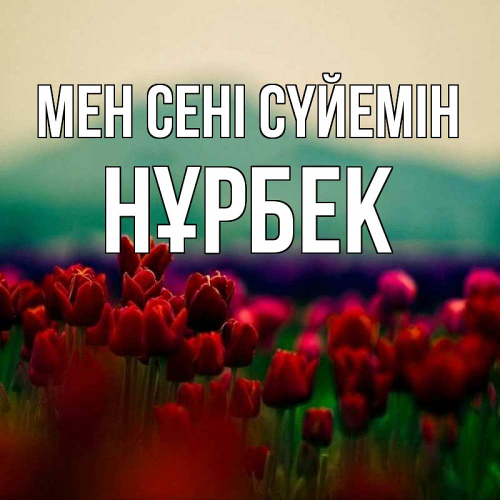 Күн сайын ашық хат с именем, НҰРБЕК Мен сені сүйемін тюльпаны 4 Онлайн тегін жүктеп алу тілектері бар керемет карта 