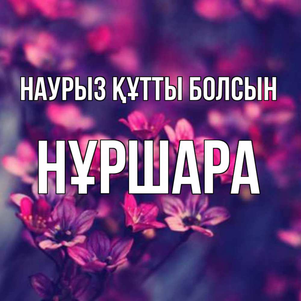 Күн сайын ашық хат с именем, НҰРШАРА Наурыз құтты болсын небольшие цветы 1 Онлайн тегін жүктеп алу тілектері бар керемет карта 