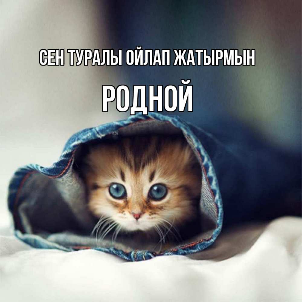 Күн сайын ашық хат с именем, Родной Сен туралы ойлап жатырмын мне без тебя плохо Онлайн тегін жүктеп алу тілектері бар керемет карта 
