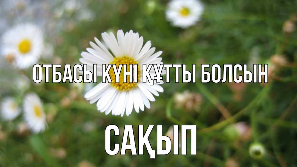 Күн сайын ашық хат с именем, САҚЫП отбасы күні құтты болсын с днем семьи Онлайн тегін жүктеп алу тілектері бар керемет карта 