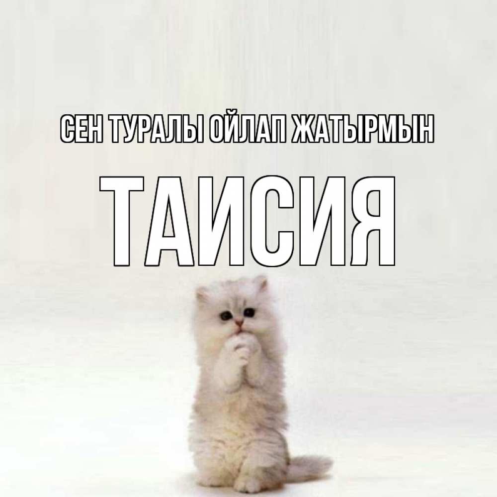 Күн сайын ашық хат с именем, Таисия Сен туралы ойлап жатырмын кот стоит на задних лапах Онлайн тегін жүктеп алу тілектері бар керемет карта 
