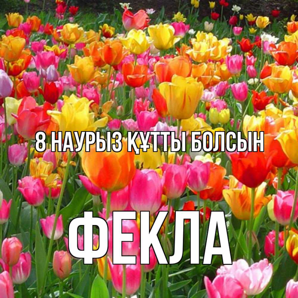 Күн сайын ашық хат с именем, Фекла 8 наурыз құтты болсын на международный женский день Онлайн тегін жүктеп алу тілектері бар керемет карта 