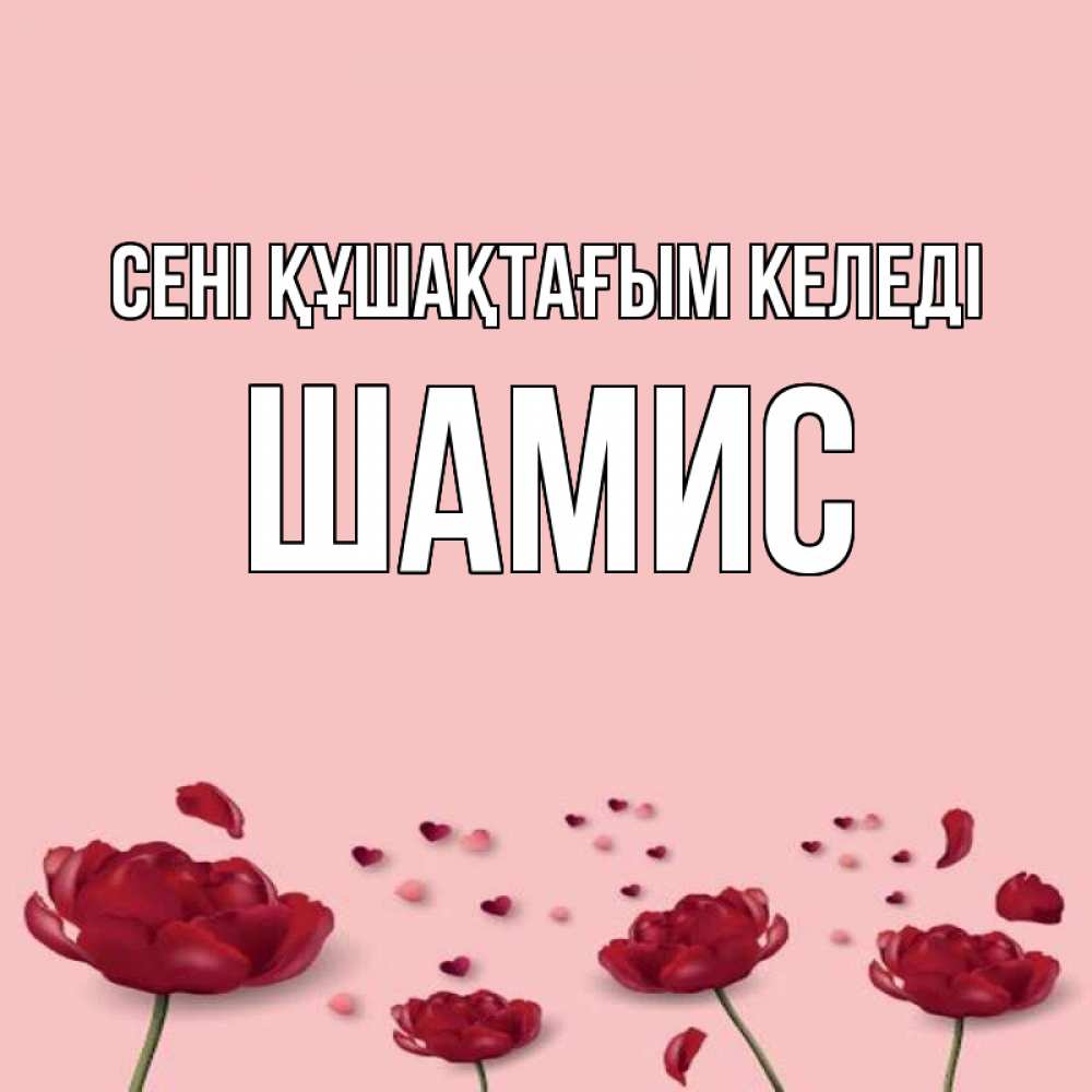 Күн сайын ашық хат с именем, ШАМИС сені құшақтағым келеді бесплатно Онлайн тегін жүктеп алу тілектері бар керемет карта 