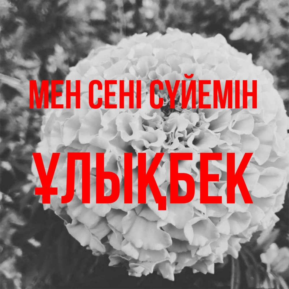 Күн сайын ашық хат с именем, ҰЛЫҚБЕК Мен сені сүйемін подпись Онлайн тегін жүктеп алу тілектері бар керемет карта 