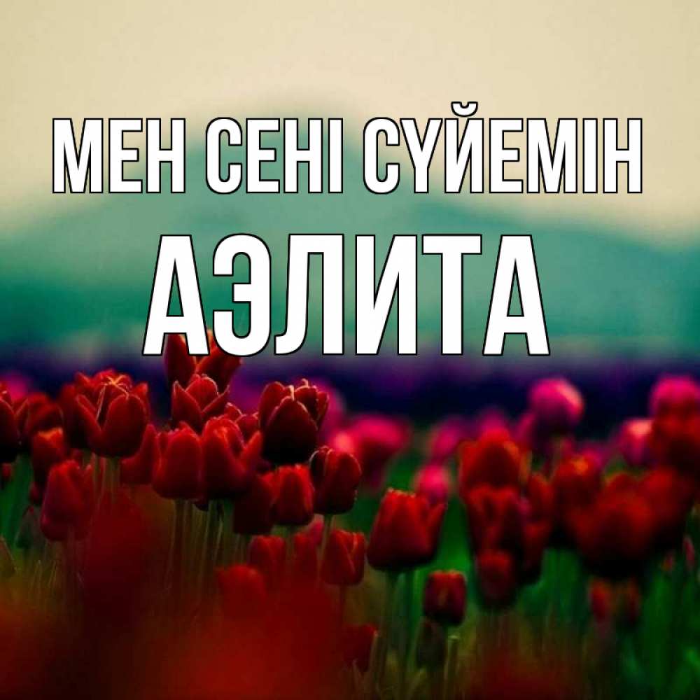 Күн сайын ашық хат с именем, Аэлита Мен сені сүйемін тюльпаны 4 Онлайн тегін жүктеп алу тілектері бар керемет карта 