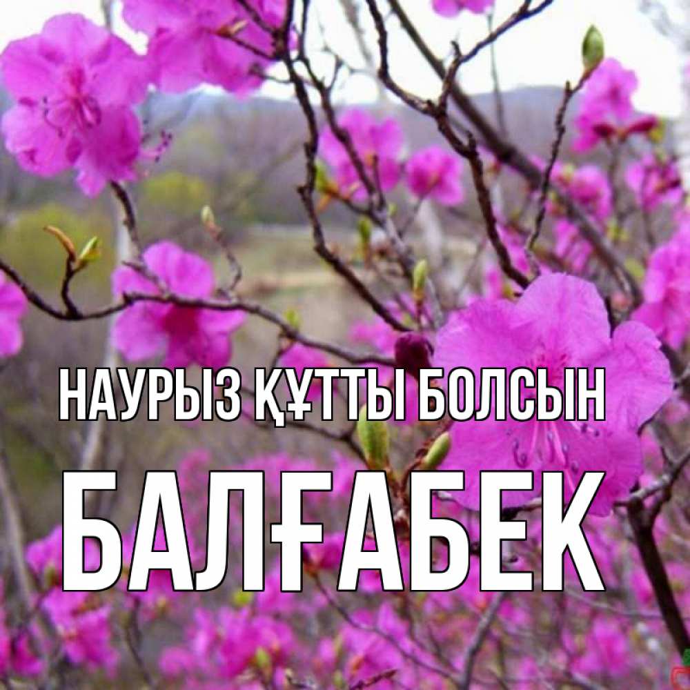 Күн сайын ашық хат с именем, Балғабек Наурыз құтты болсын наурыз мейрамы кутты болсын Онлайн тегін жүктеп алу тілектері бар керемет карта 