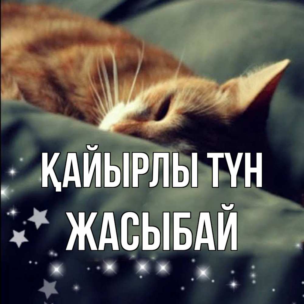 Күн сайын ашық хат с именем, Жасыбай Қайырлы түн кроватка Онлайн тегін жүктеп алу тілектері бар керемет карта 