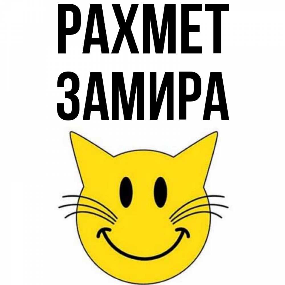 Күн сайын ашық хат с именем, ЗАМИРА рахмет улыбающийся смайл кот Онлайн тегін жүктеп алу тілектері бар керемет карта 