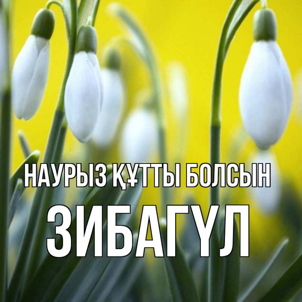 Күн сайын ашық хат с именем, ЗИБАГҮЛ Наурыз құтты болсын весенние цветы Онлайн тегін жүктеп алу тілектері бар керемет карта 