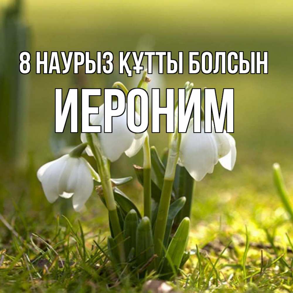 Күн сайын ашық хат с именем, Иероним 8 наурыз құтты болсын ранние цветы 2 Онлайн тегін жүктеп алу тілектері бар керемет карта 