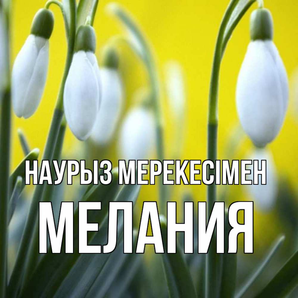 Күн сайын ашық хат с именем, Мелания Наурыз мерекесімен весенние цветы Онлайн тегін жүктеп алу тілектері бар керемет карта 