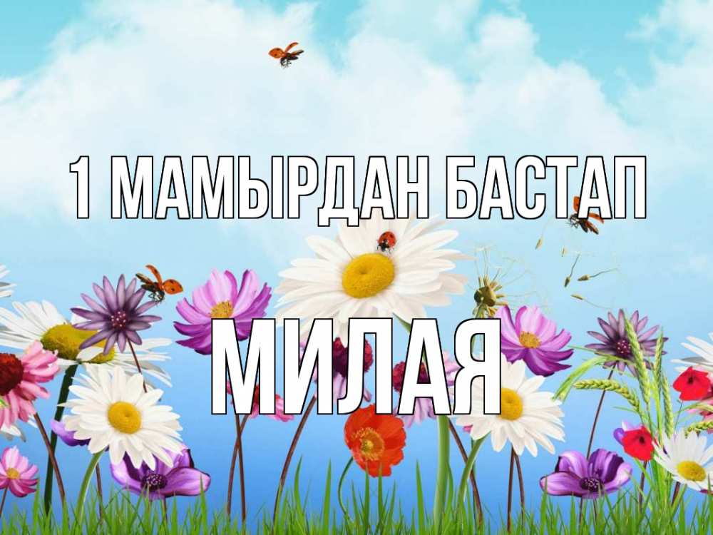 Күн сайын ашық хат с именем, Милая 1 мамырдан бастап С 1 мая Онлайн тегін жүктеп алу тілектері бар керемет карта 