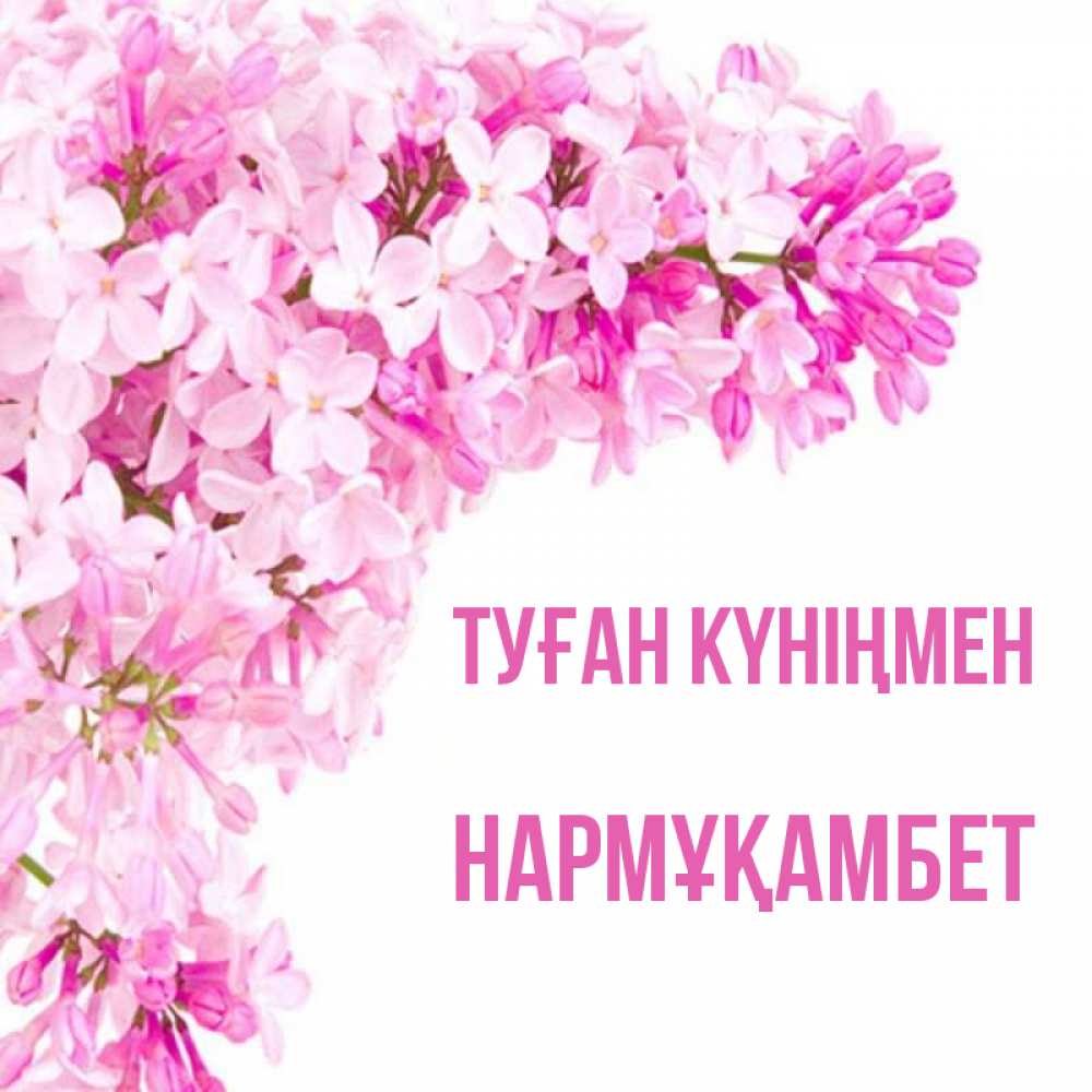 Күн сайын ашық хат с именем, НАРМҰҚАМБЕТ Туған күніңмен Сирень на белом фоне Онлайн тегін жүктеп алу тілектері бар керемет карта 