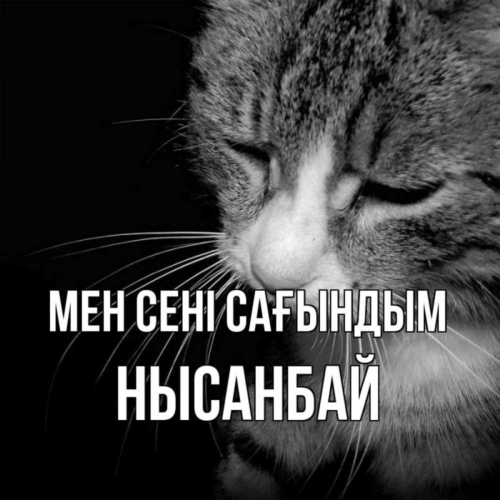 Күн сайын ашық хат с именем, НЫСАНБАЙ Мен сені сағындым мне скучно Онлайн тегін жүктеп алу тілектері бар керемет карта 