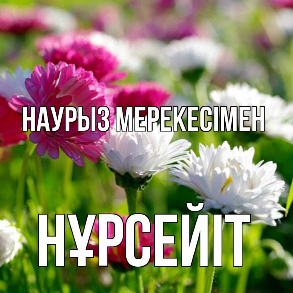 Күн сайын ашық хат с именем, НҰРСЕЙІТ Наурыз мерекесімен праздник весны наурыз красота Онлайн тегін жүктеп алу тілектері бар керемет карта 