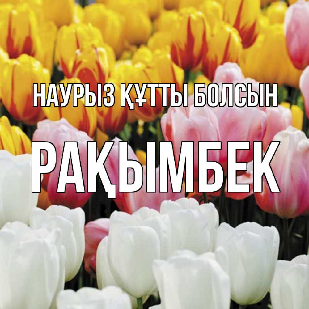 Күн сайын ашық хат с именем, Рақымбек Наурыз құтты болсын разноцветные цветы Онлайн тегін жүктеп алу тілектері бар керемет карта 