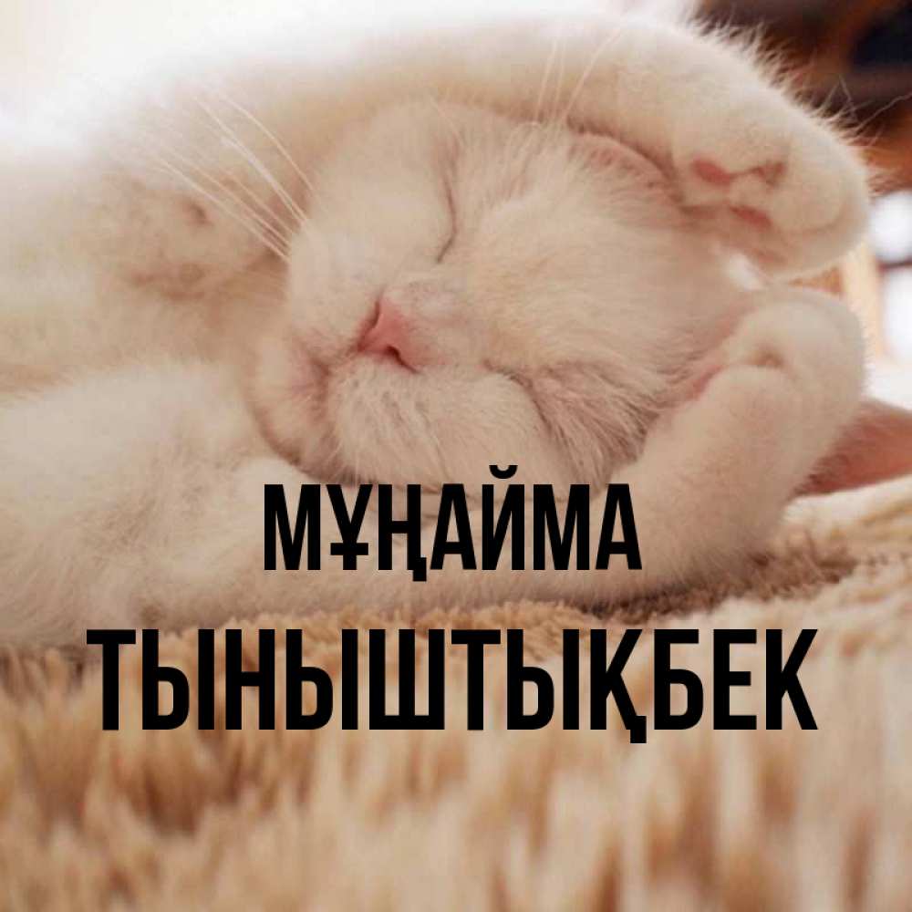 Күн сайын ашық хат с именем, ТЫНЫШТЫҚБЕК Мұңайма Котенок спит Онлайн тегін жүктеп алу тілектері бар керемет карта 