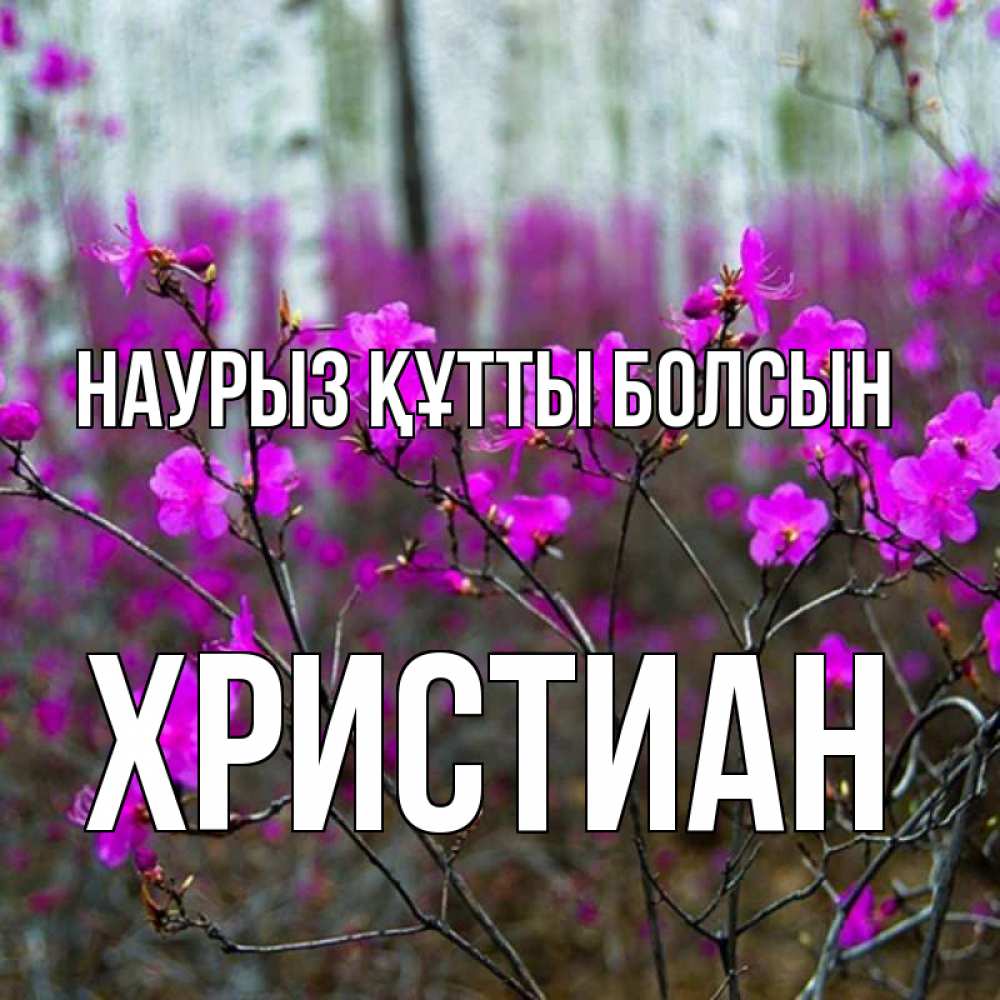 Күн сайын ашық хат с именем, Христиан Наурыз құтты болсын дикие цветы Онлайн тегін жүктеп алу тілектері бар керемет карта 