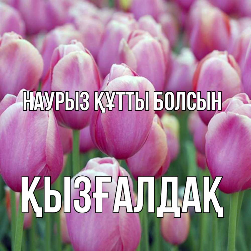 Күн сайын ашық хат с именем, ҚЫЗҒАЛДАҚ Наурыз құтты болсын на наурыз  день 3 Онлайн тегін жүктеп алу тілектері бар керемет карта 