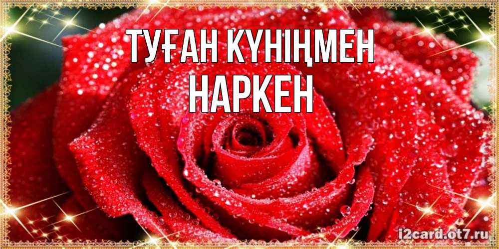 Күн сайын ашық хат с именем, Наркен Туған күніңмен роса и роза. открытка с красивой розой Онлайн тегін жүктеп алу тілектері бар керемет карта 