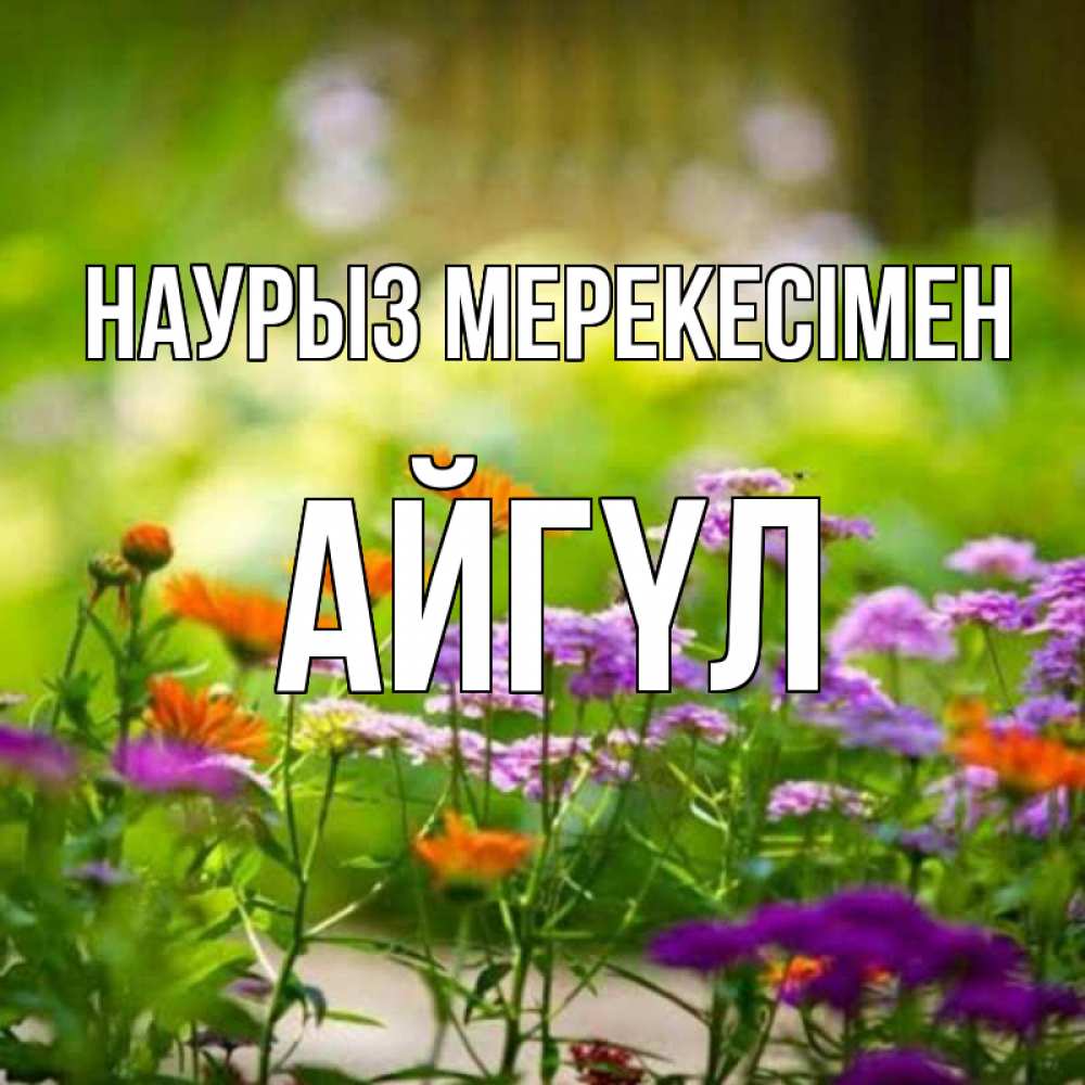 Күн сайын ашық хат с именем, АЙГҮЛ Наурыз мерекесімен цветы Онлайн тегін жүктеп алу тілектері бар керемет карта 
